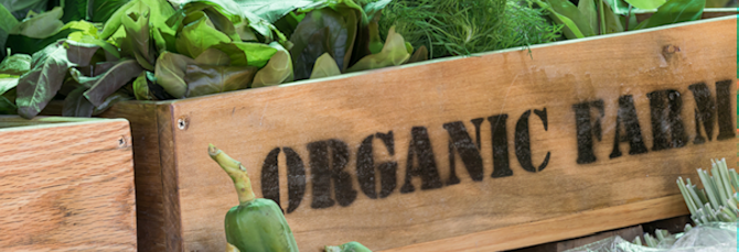 5 Reasons to go Organic this September